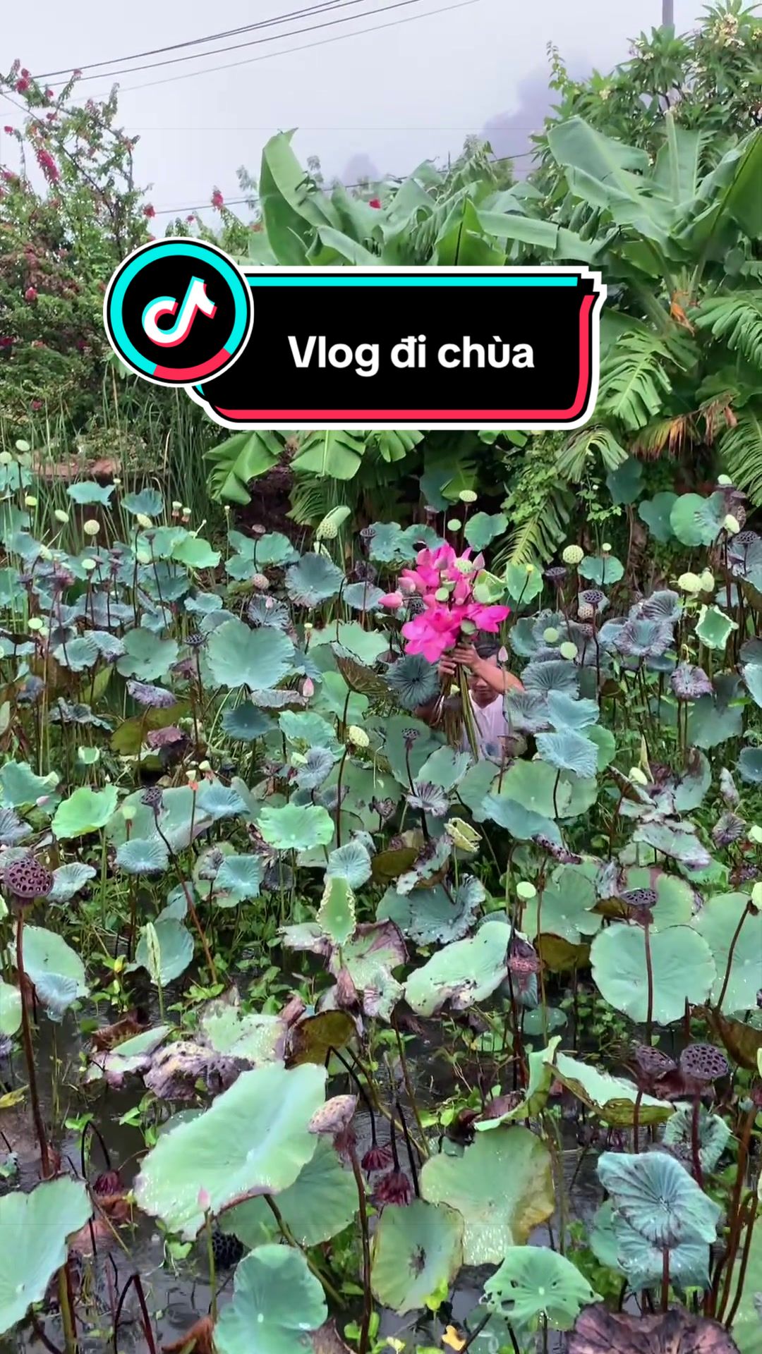 @C&ocirc; B&eacute; Xứ Phan