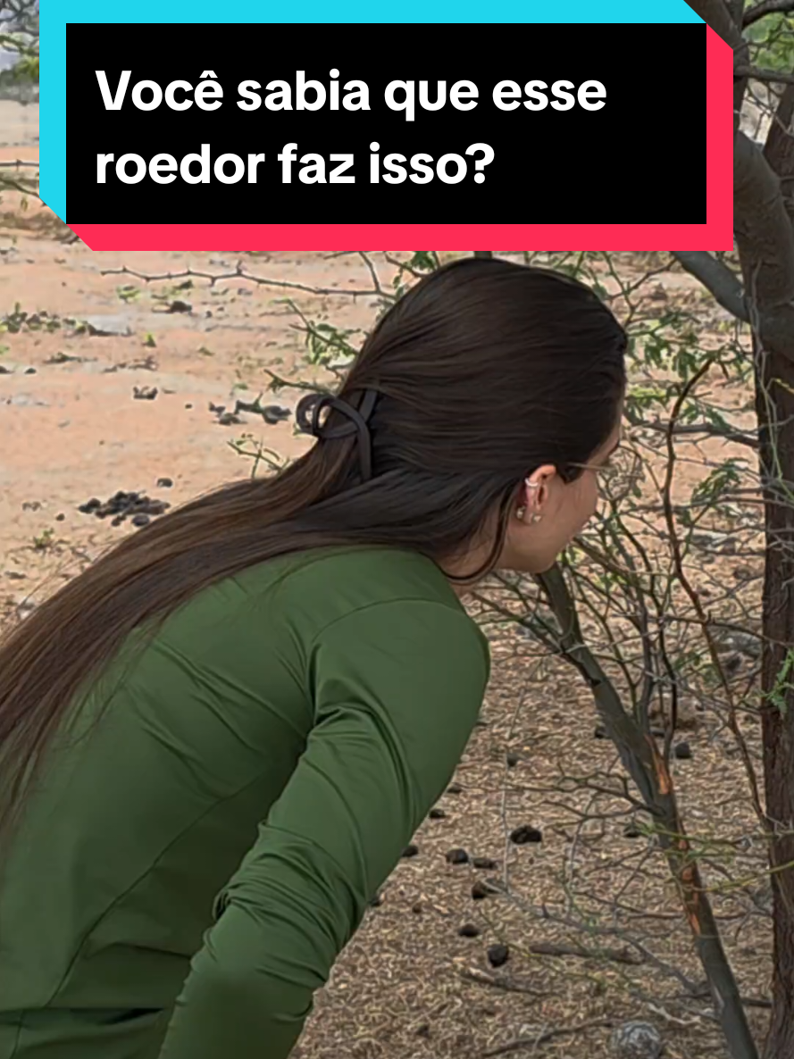 @Princesa das Serpentes