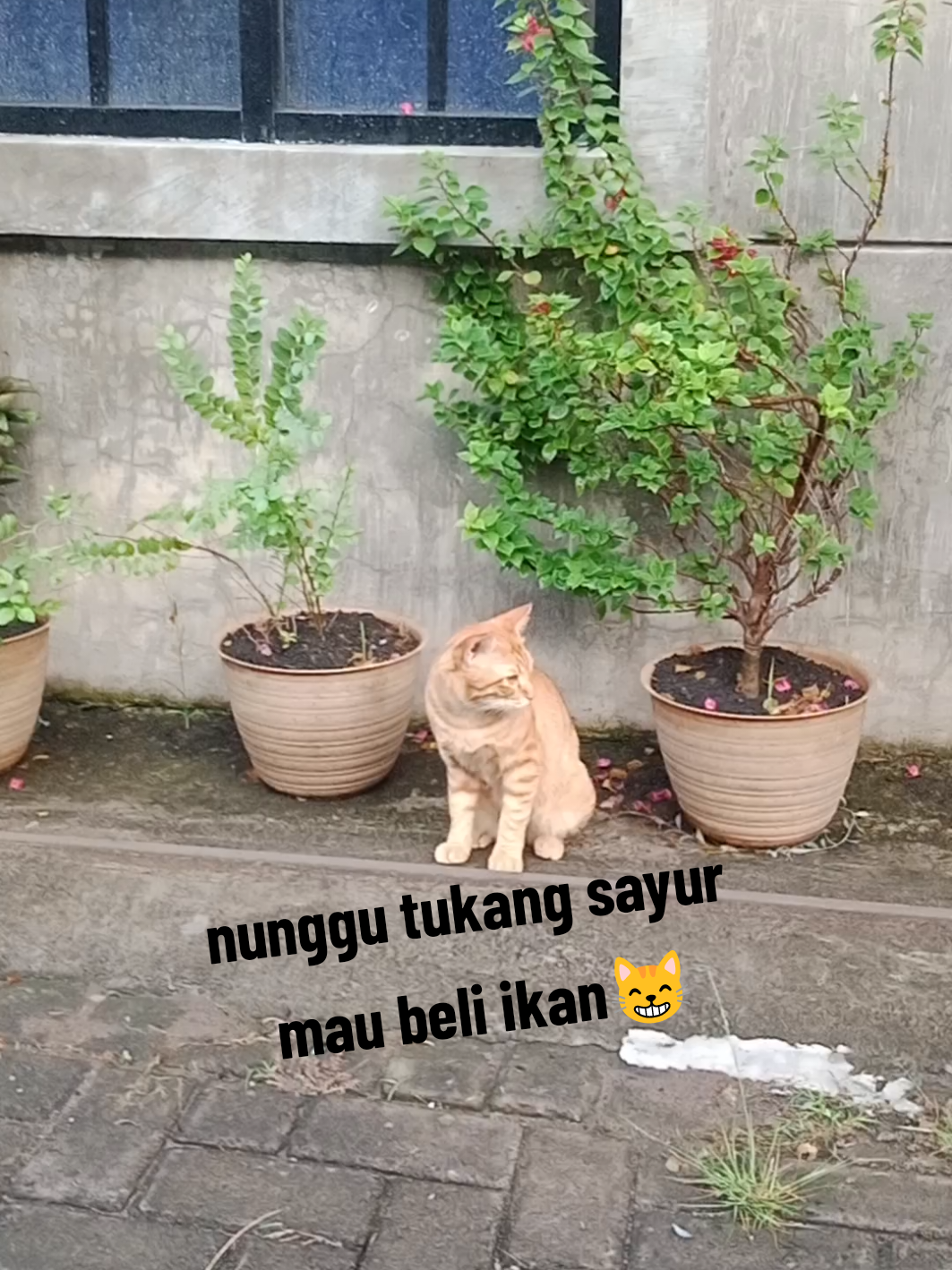 @Namira_Cut3