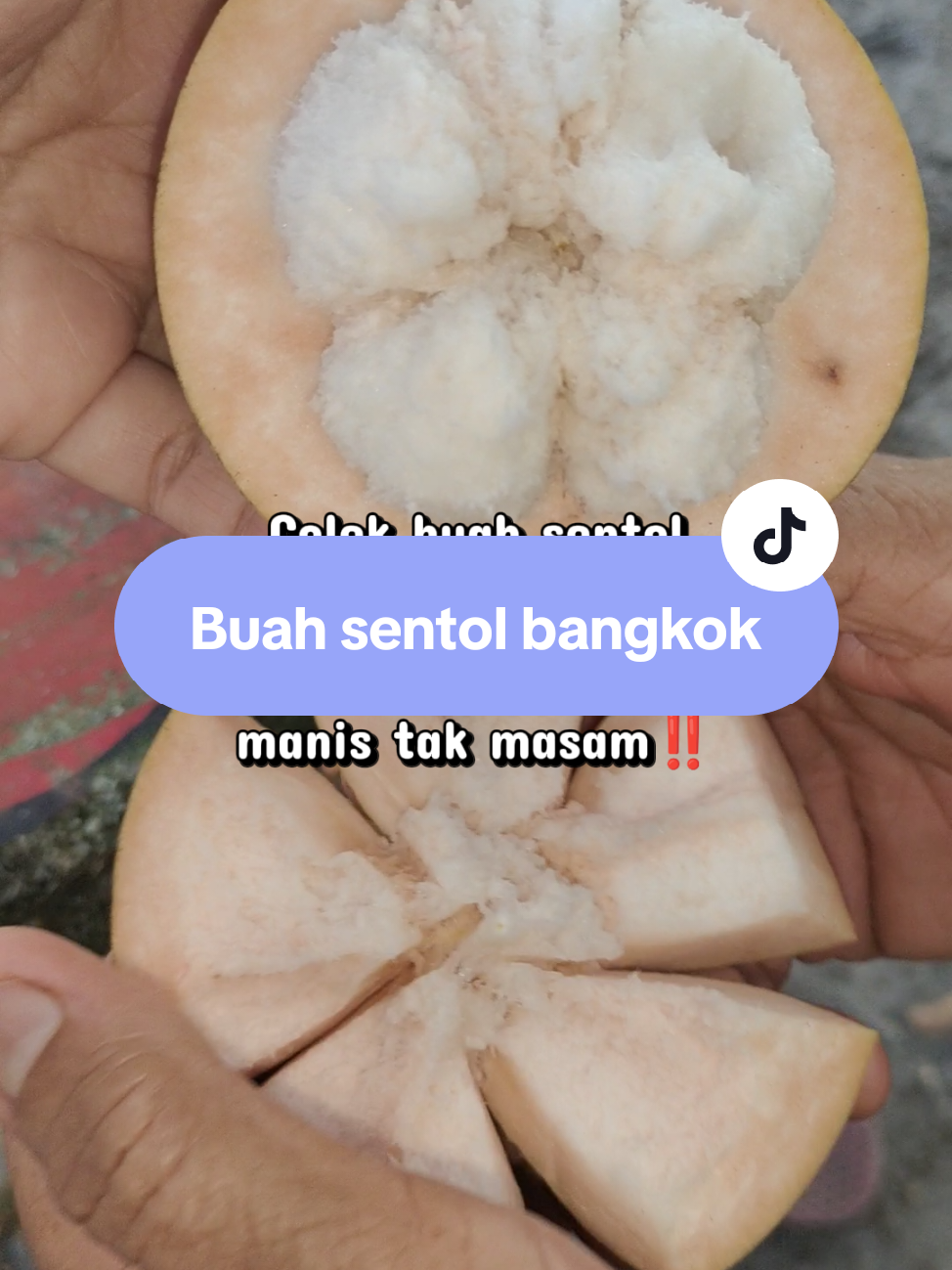 @snaimsy °°>•<°°