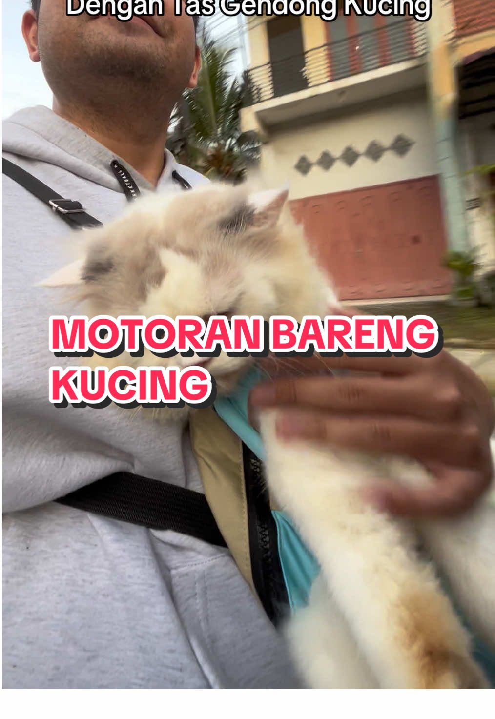 @ADENO MUTHALIB