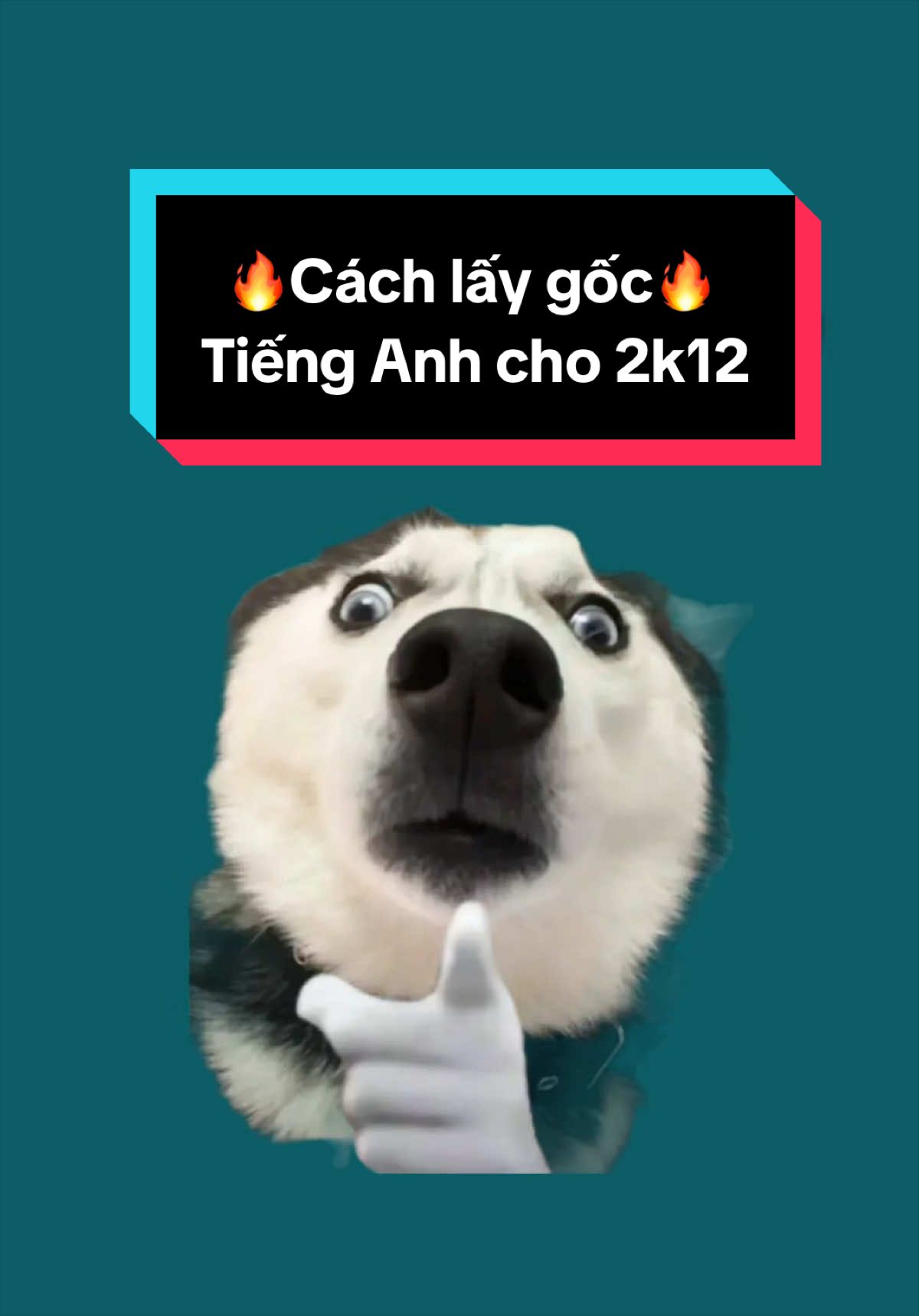 @Moonbook - THCS