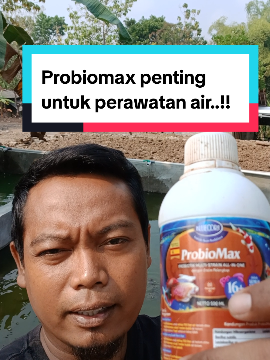 @Kang_Ewi