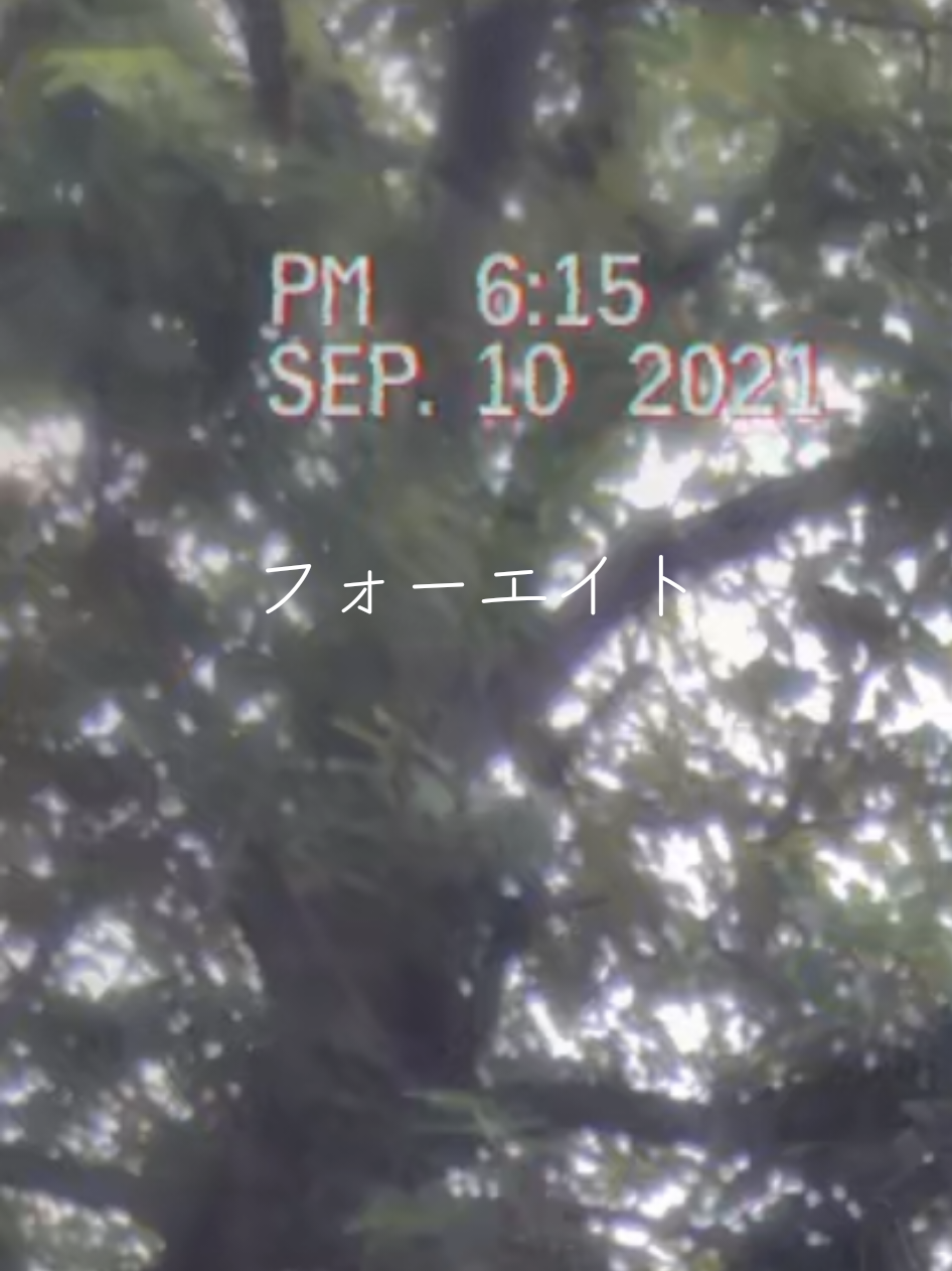 @ð§¡á©ðmiyoð§žð¯ð