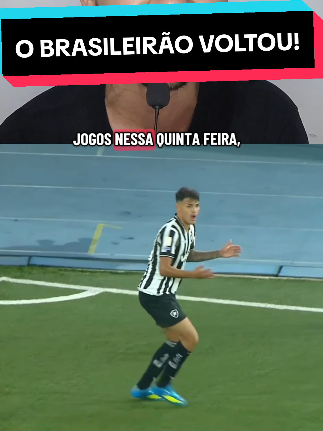 @analistaleigo