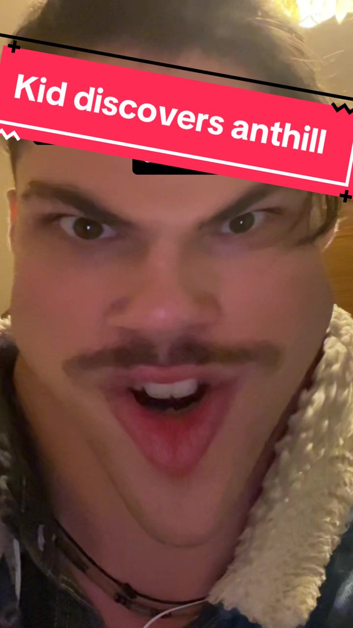 @Dingoman 🇦🇺
