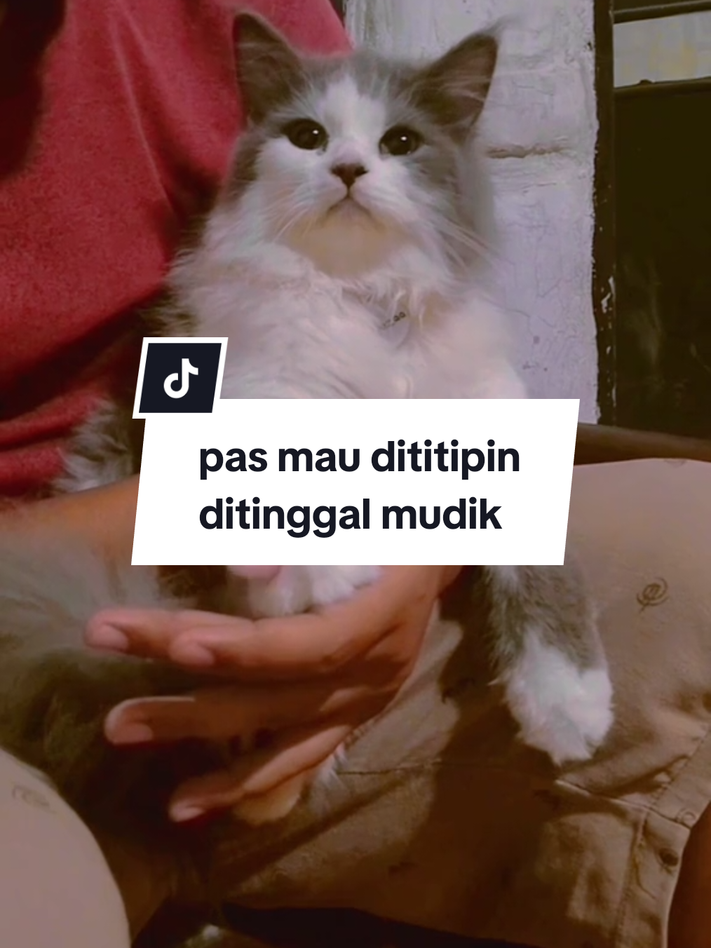 @Nana
