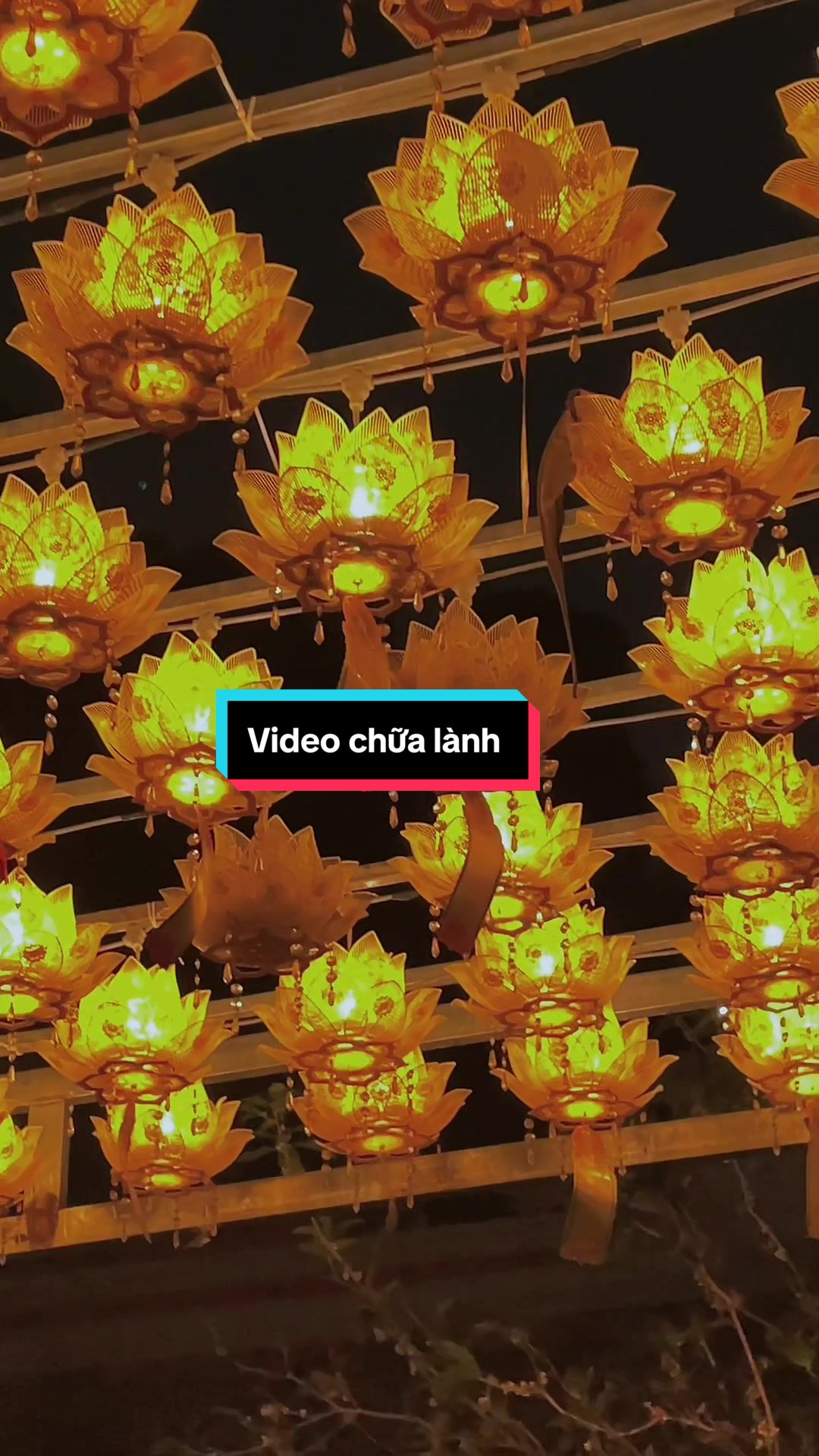 @QuynisQ - Mẹ bỉm sống chill 🪴