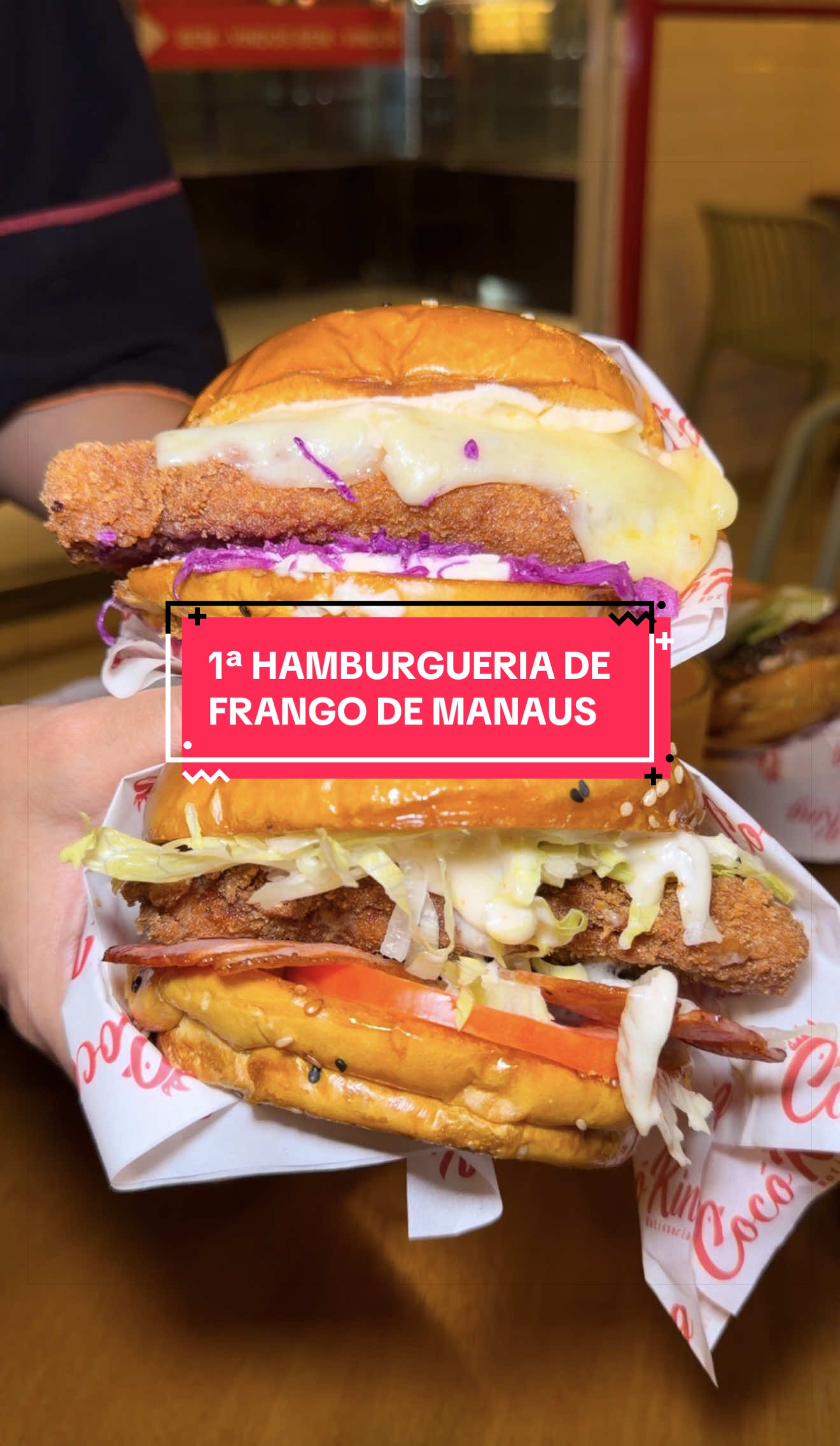 @O que fazer em Manaus?