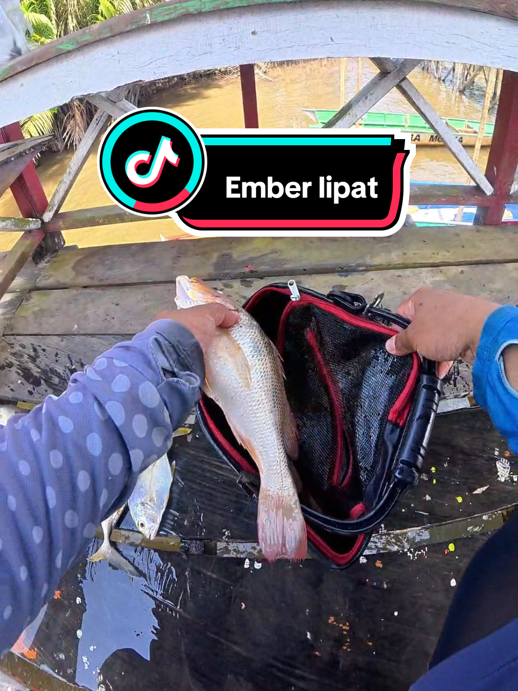 @Miyank Angler