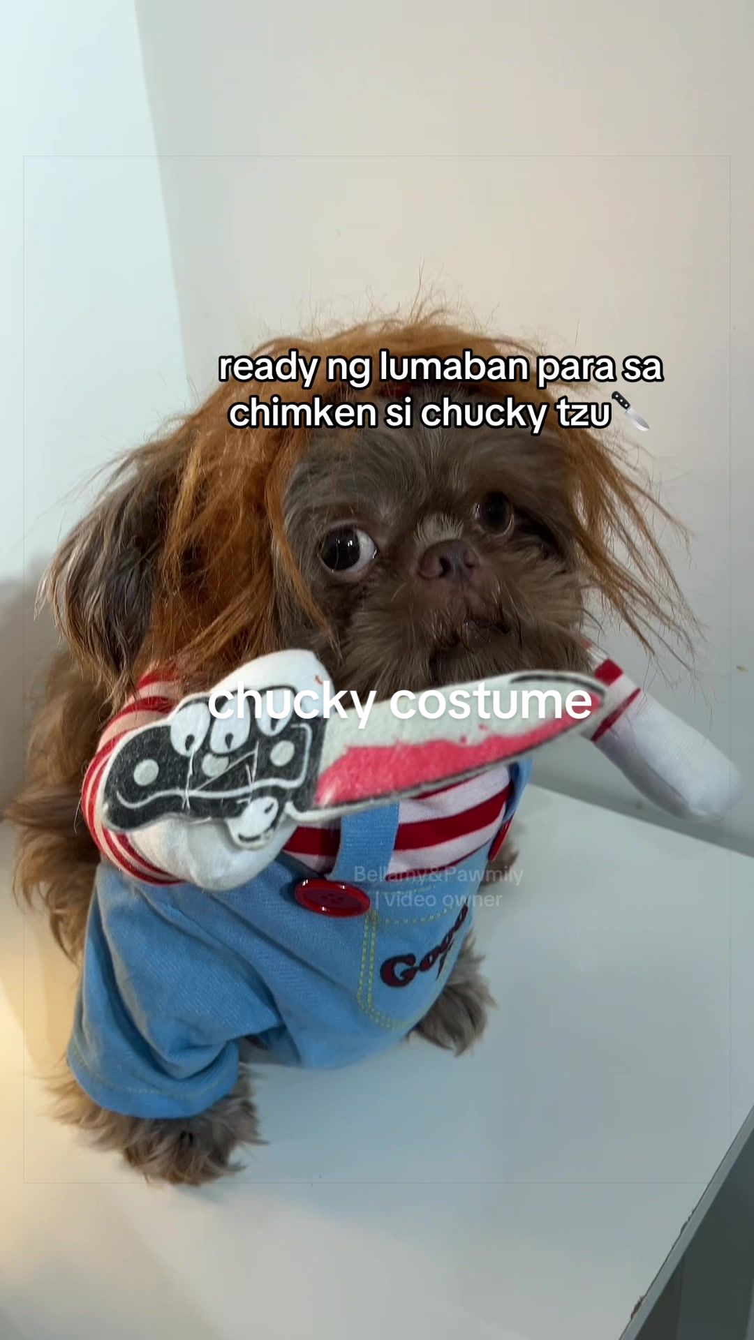 @Bellamy&Pawmily
