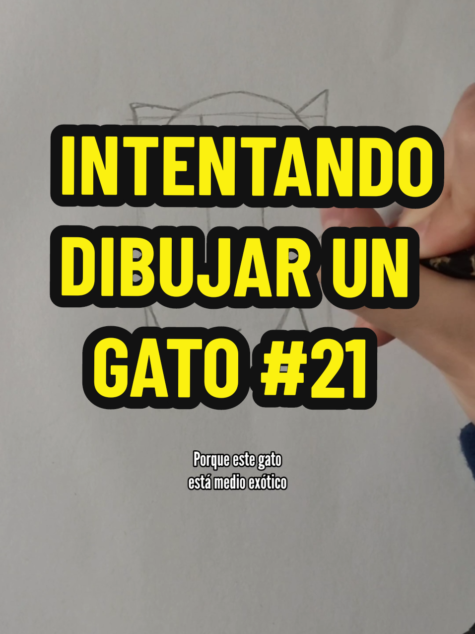 @Monmo21