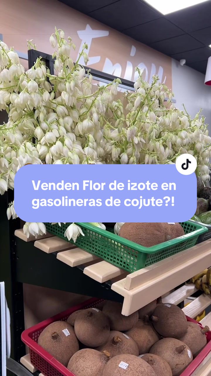 @holasoybelen.sv