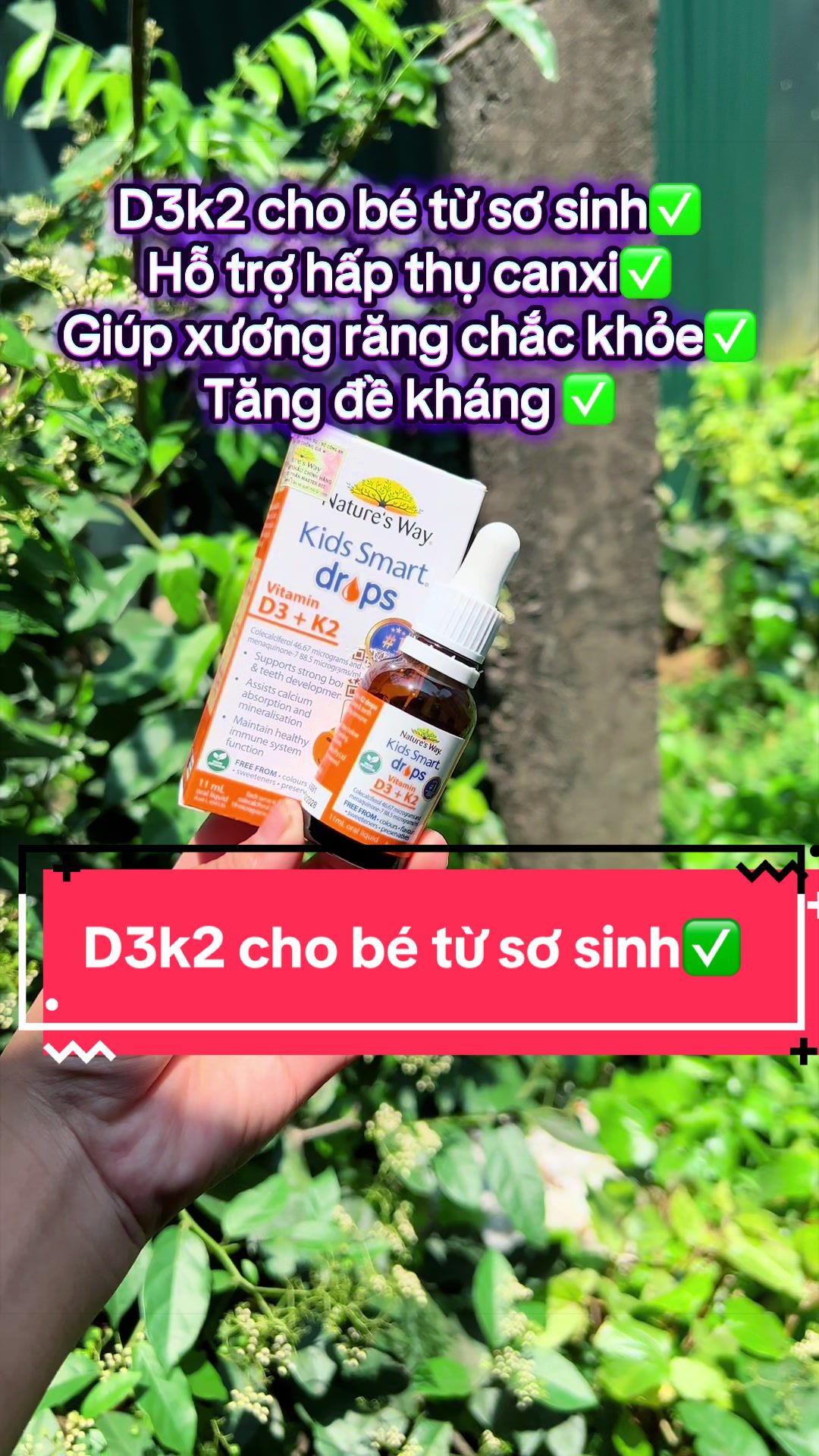 @Dâu Vùng Cao
