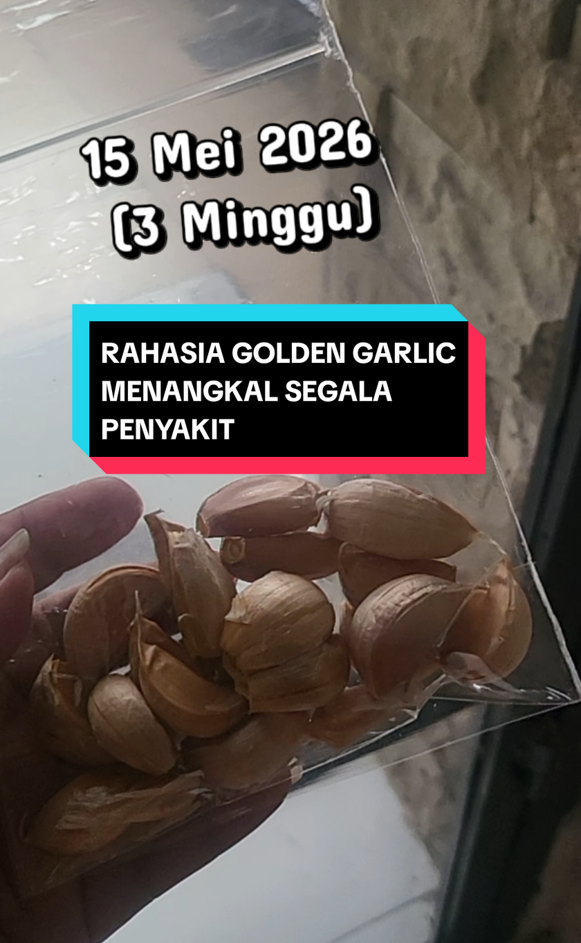 @Pak Hani