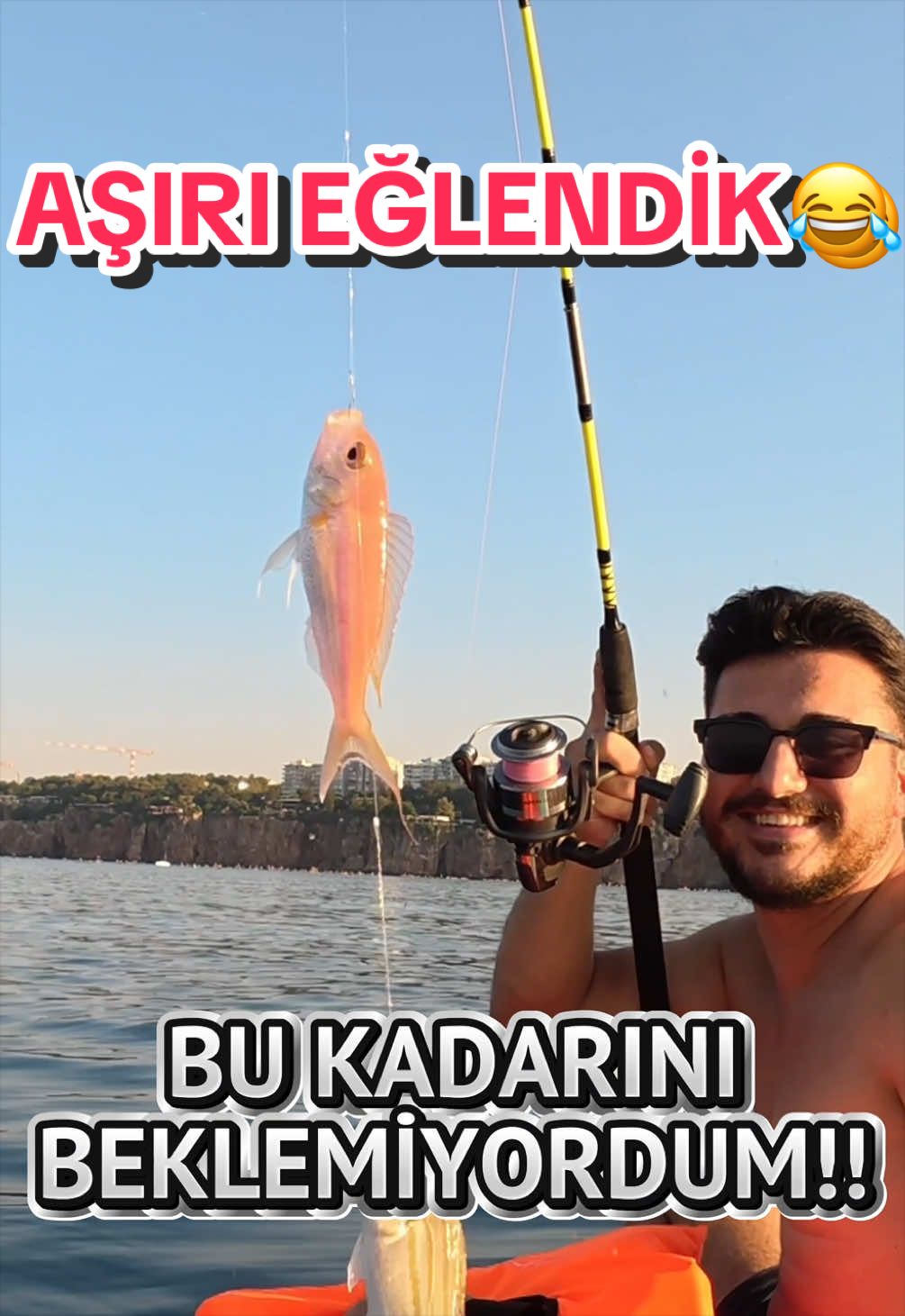 @alptekin