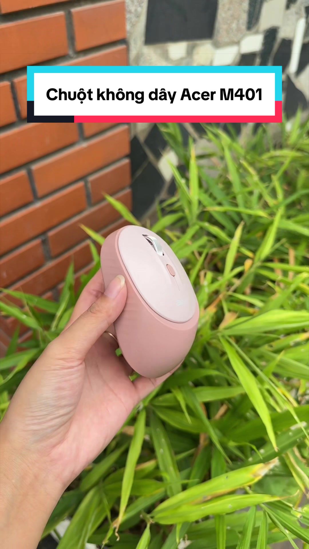 @Tuấn Bình Thường
