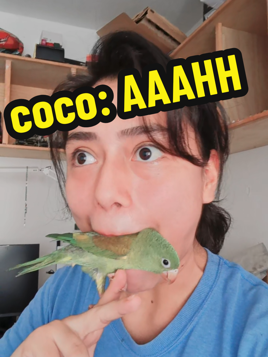 @🤙Verolocuras🤙