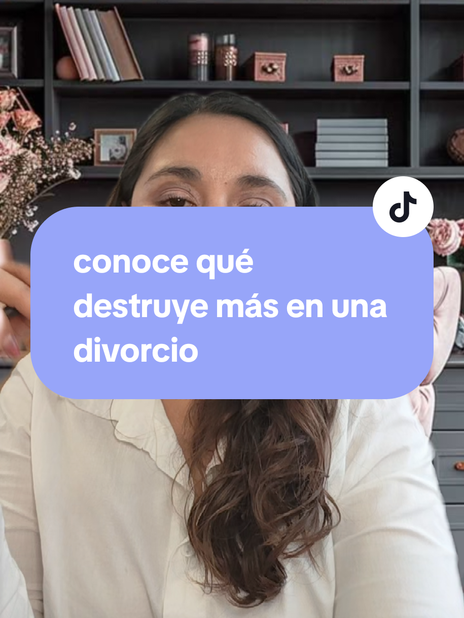 @organizatudivorcio