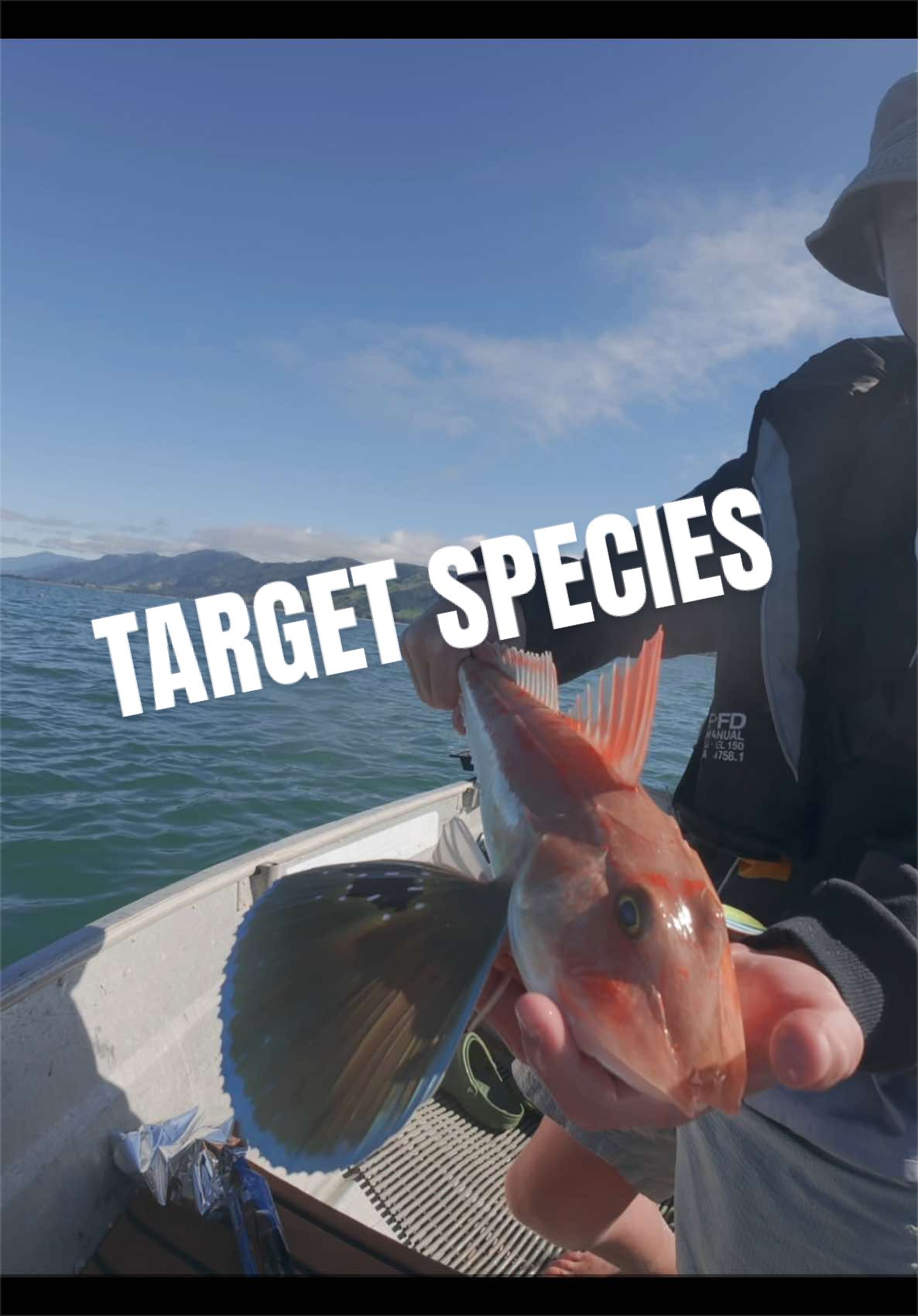 @CCFishing
