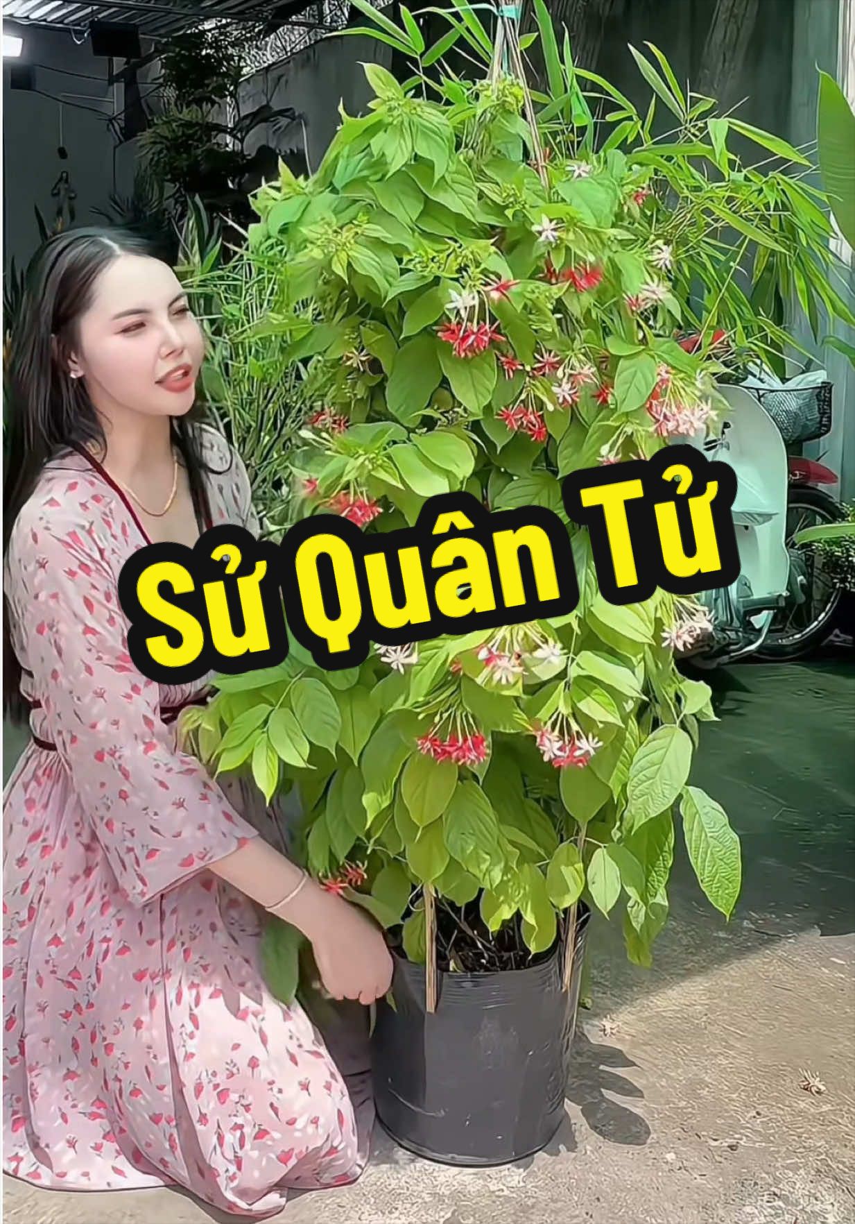 @Tiệm Lá Nhỏ