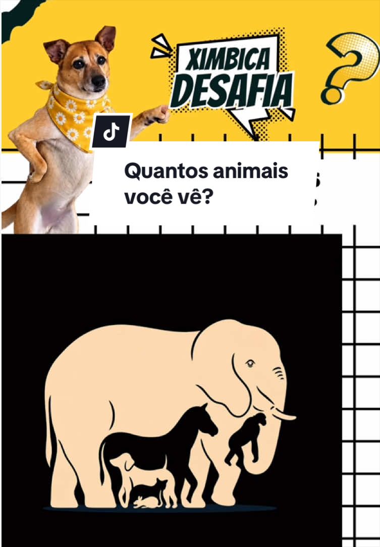 @Ximbica DESAFIA