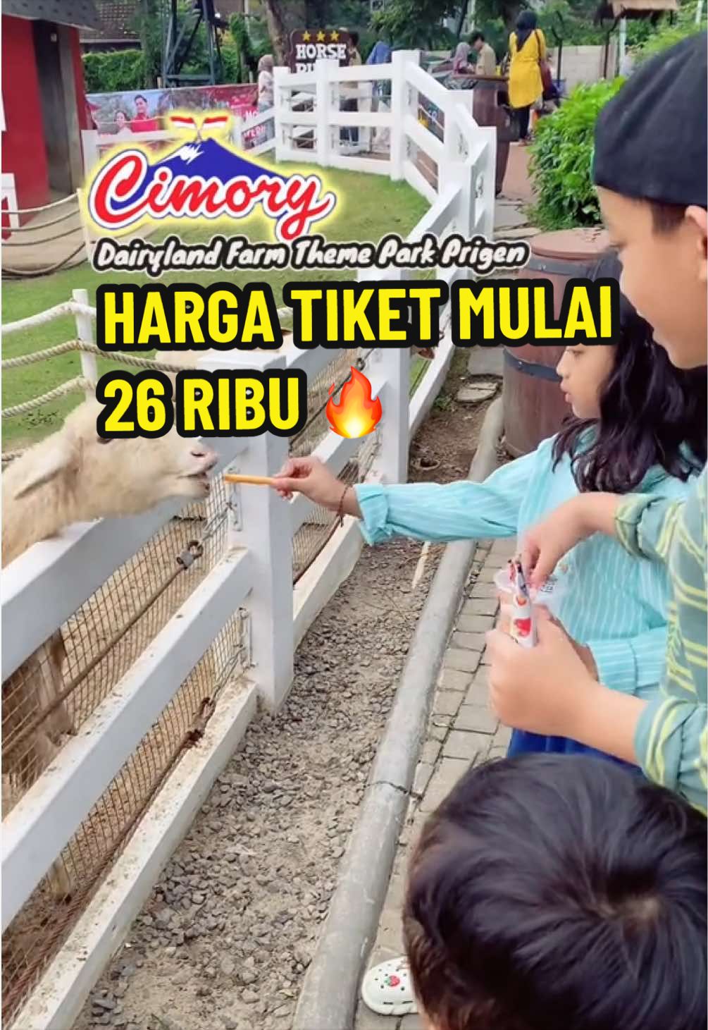 @puspa.go