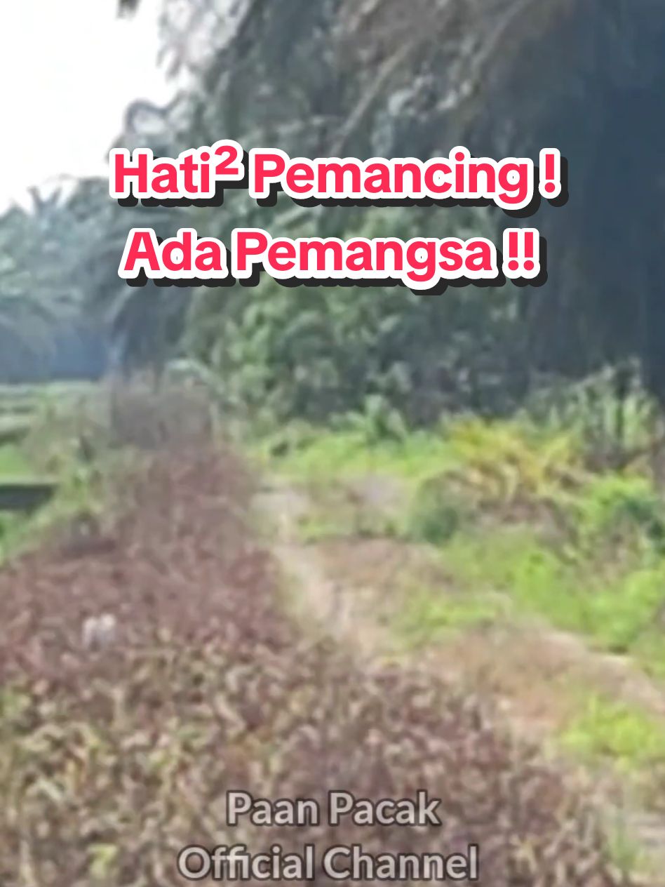 @Paan Pacak