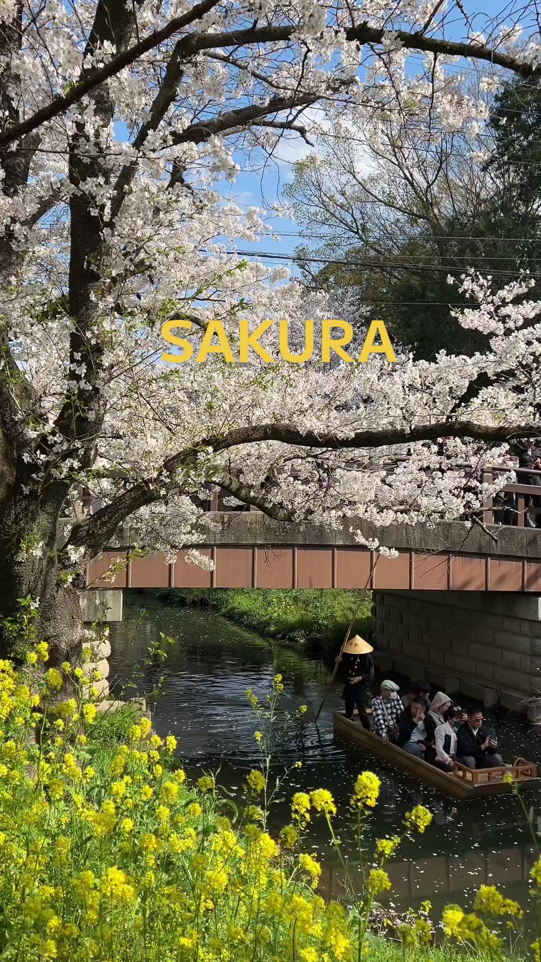 @_shinji71