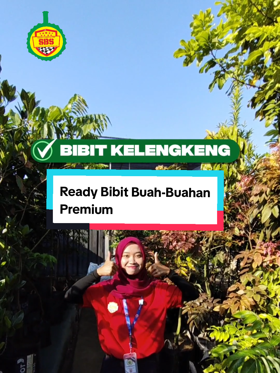 @Produksi Buah_SBS