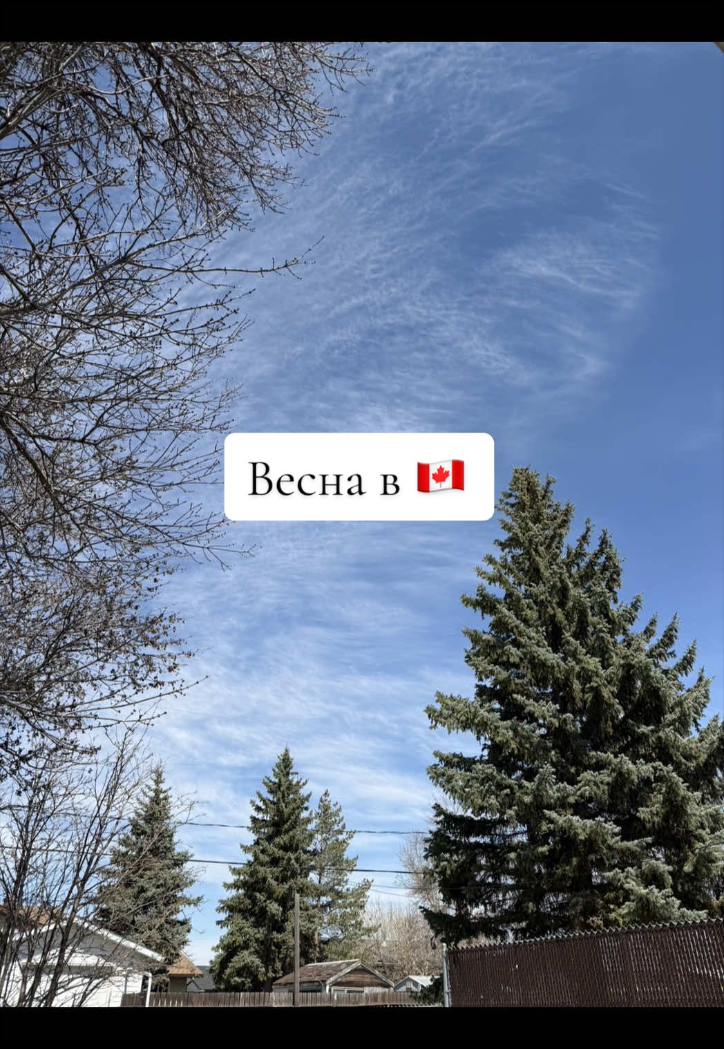 @Саша в квадраті 🧑🧒 UGC