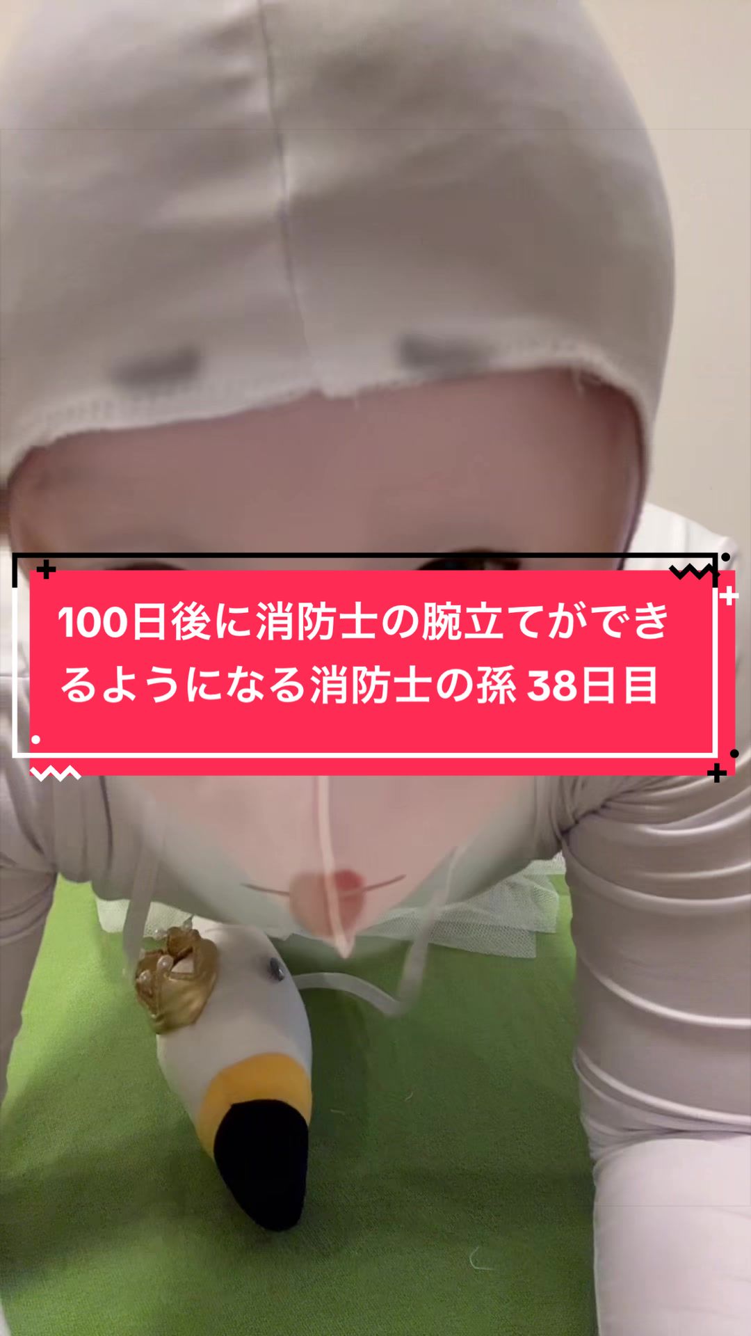 @ð°âïžïœœïŸïŸã¡ãã(ËËËÌ â°ð