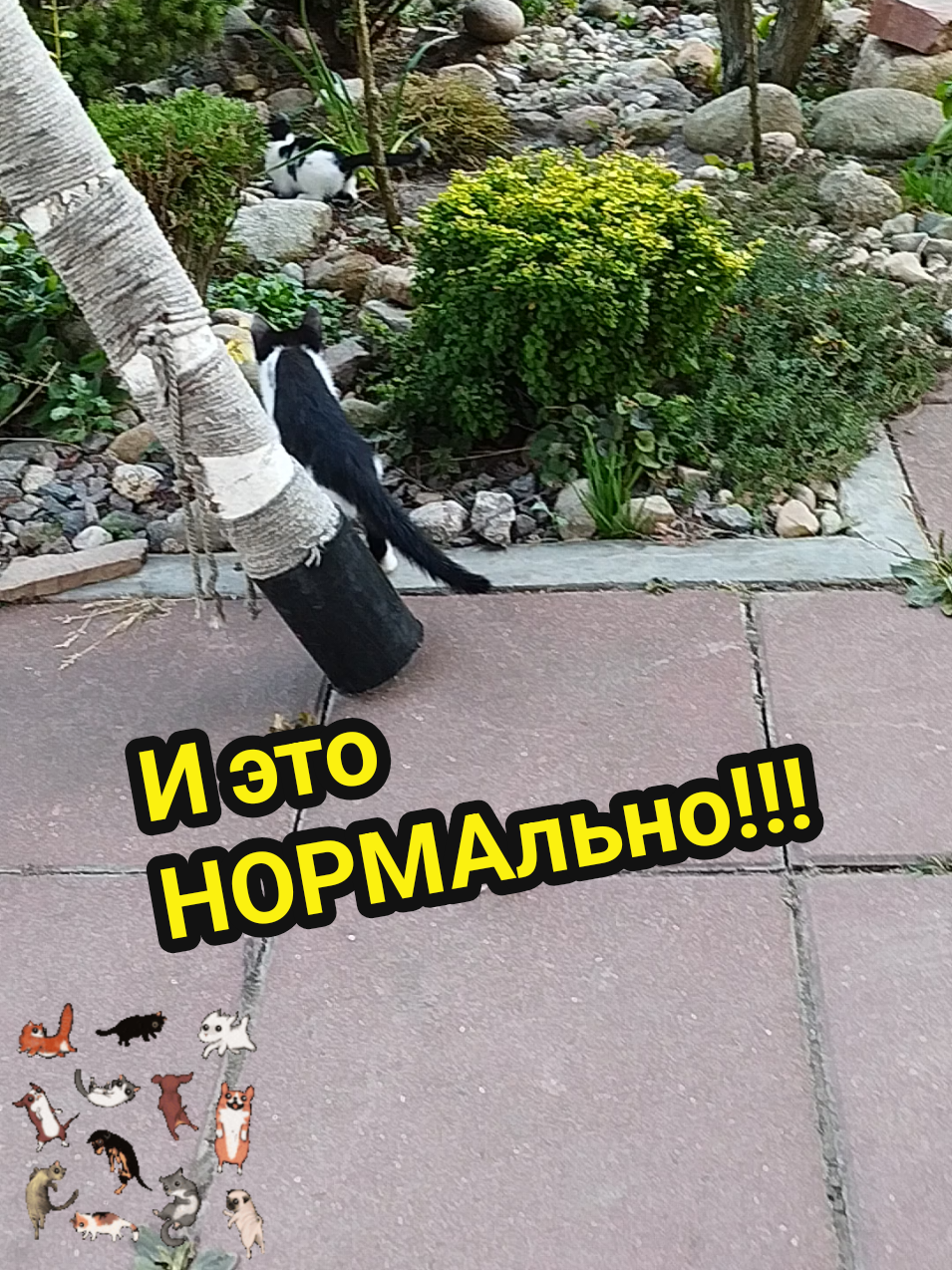 @IRINA