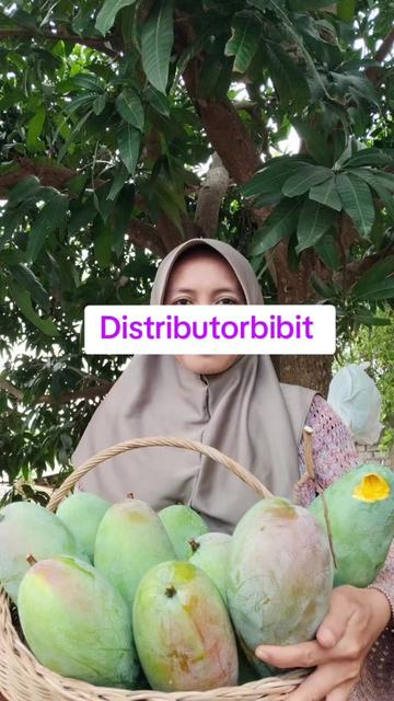 @Distributorbibit