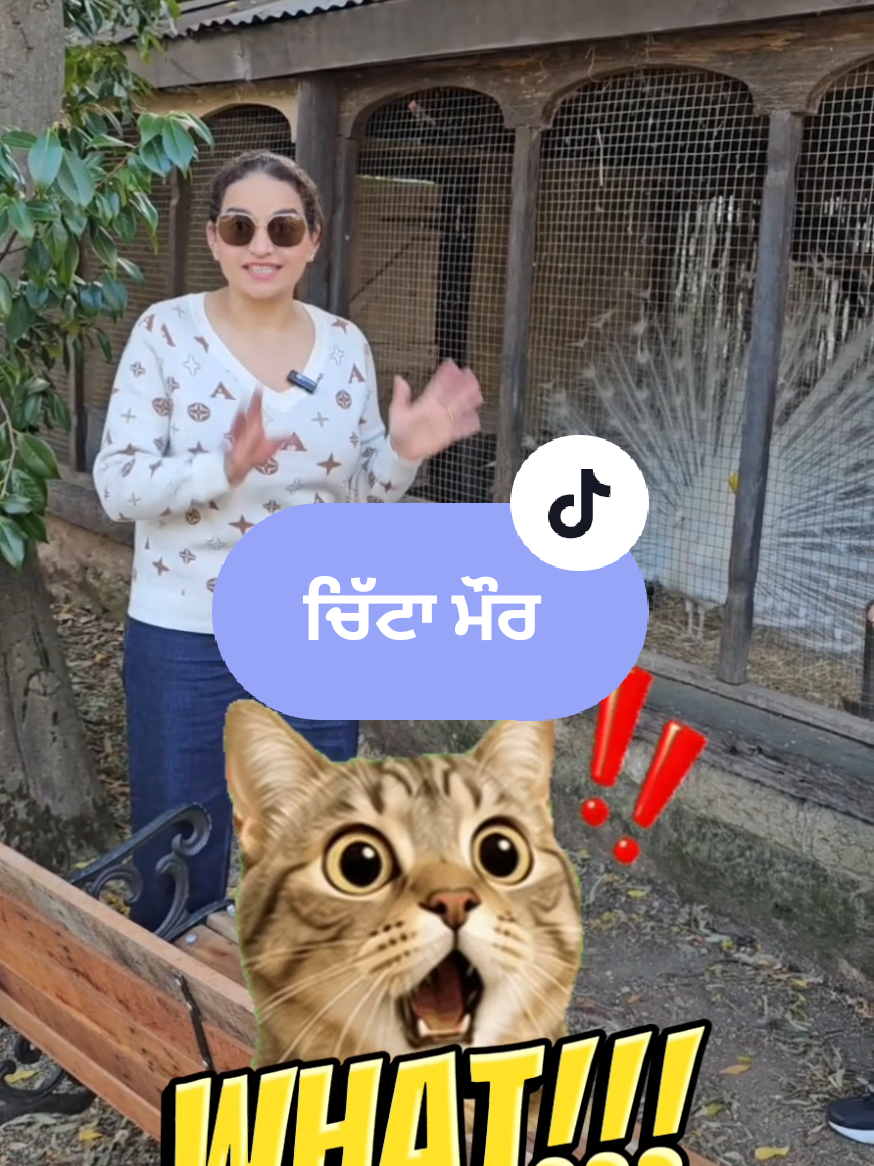 @Mandy Bains