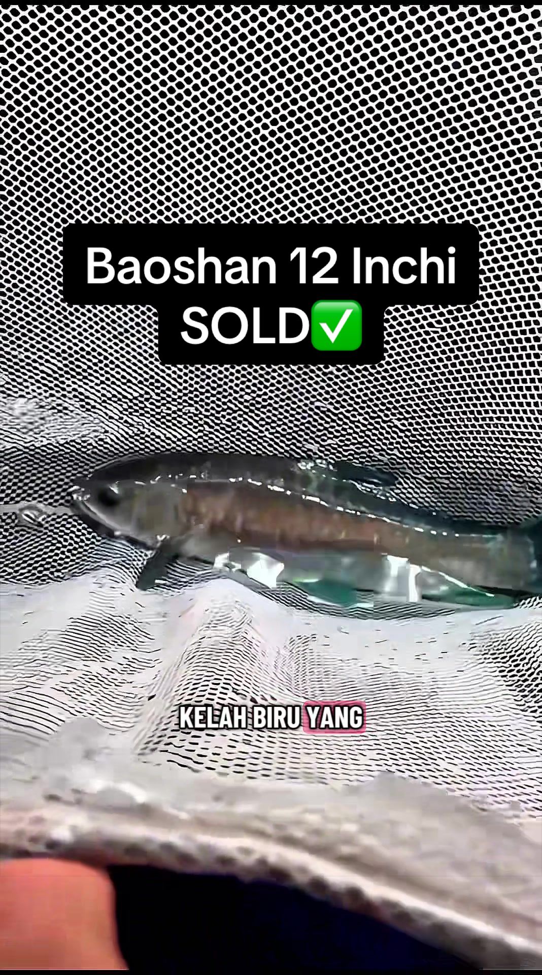 @SuperRedAquaticMelaka