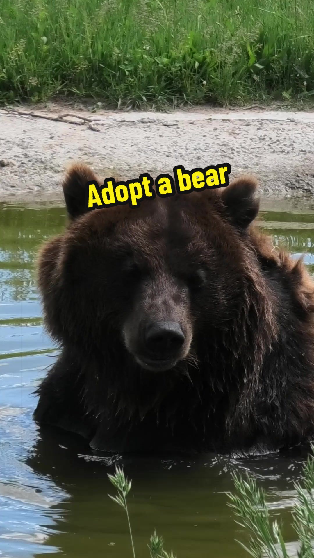 @Whiterock.savewildfund