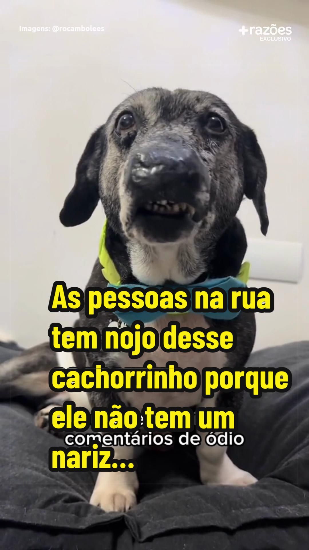 @Raz&otilde;es Para Acreditar