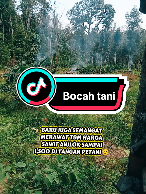 @Rahmat Hidayat