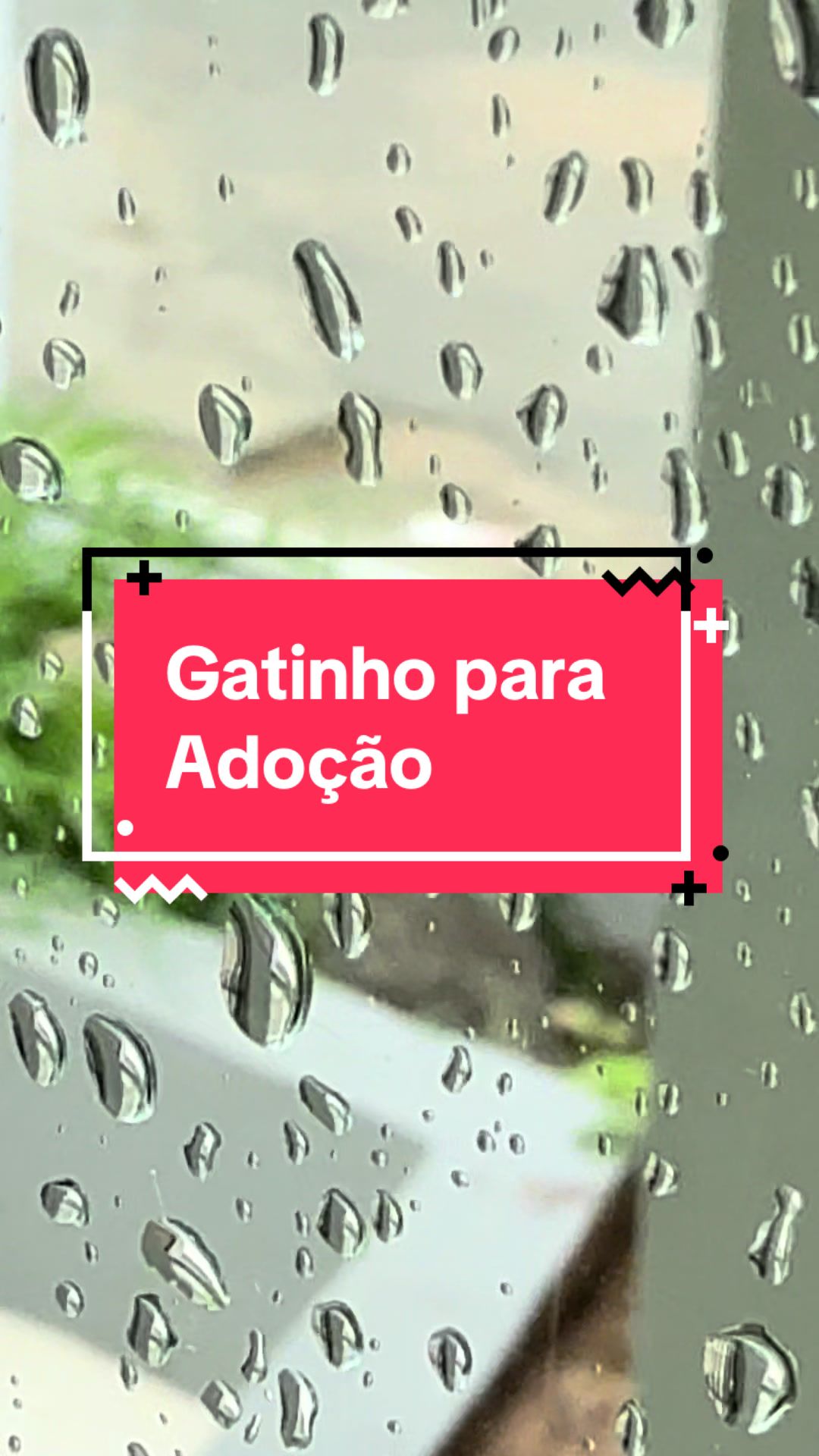 @Francinny Veterinária®️