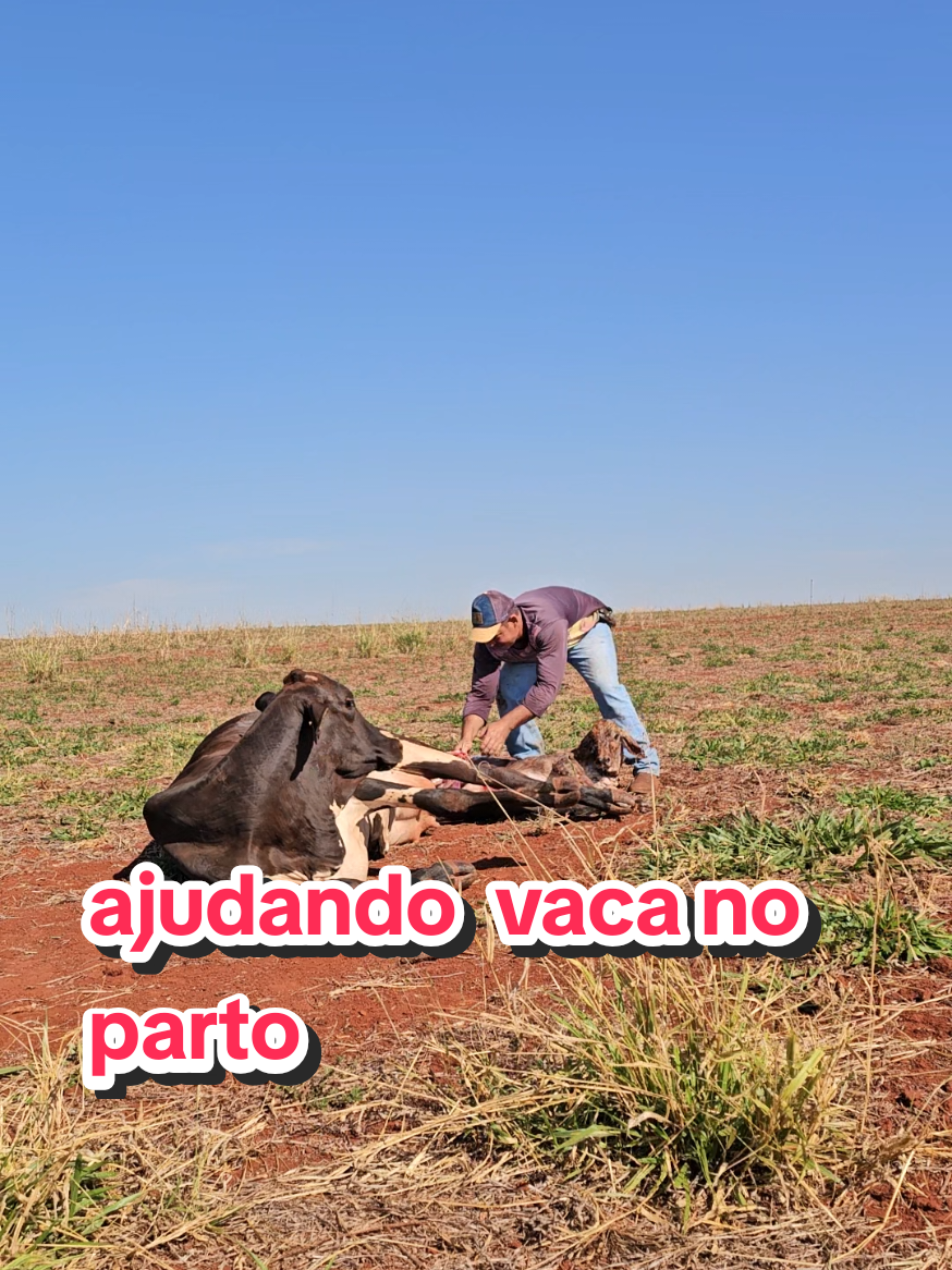 @Geovane neto