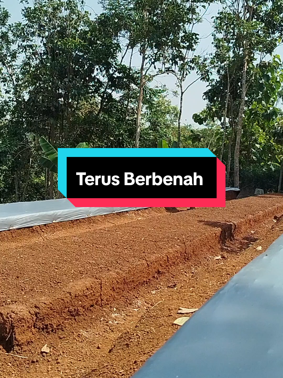 @SenimanPertanianCikancahTV