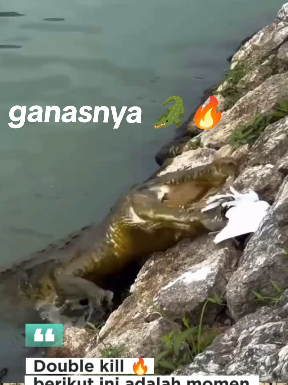 @waroeng.id