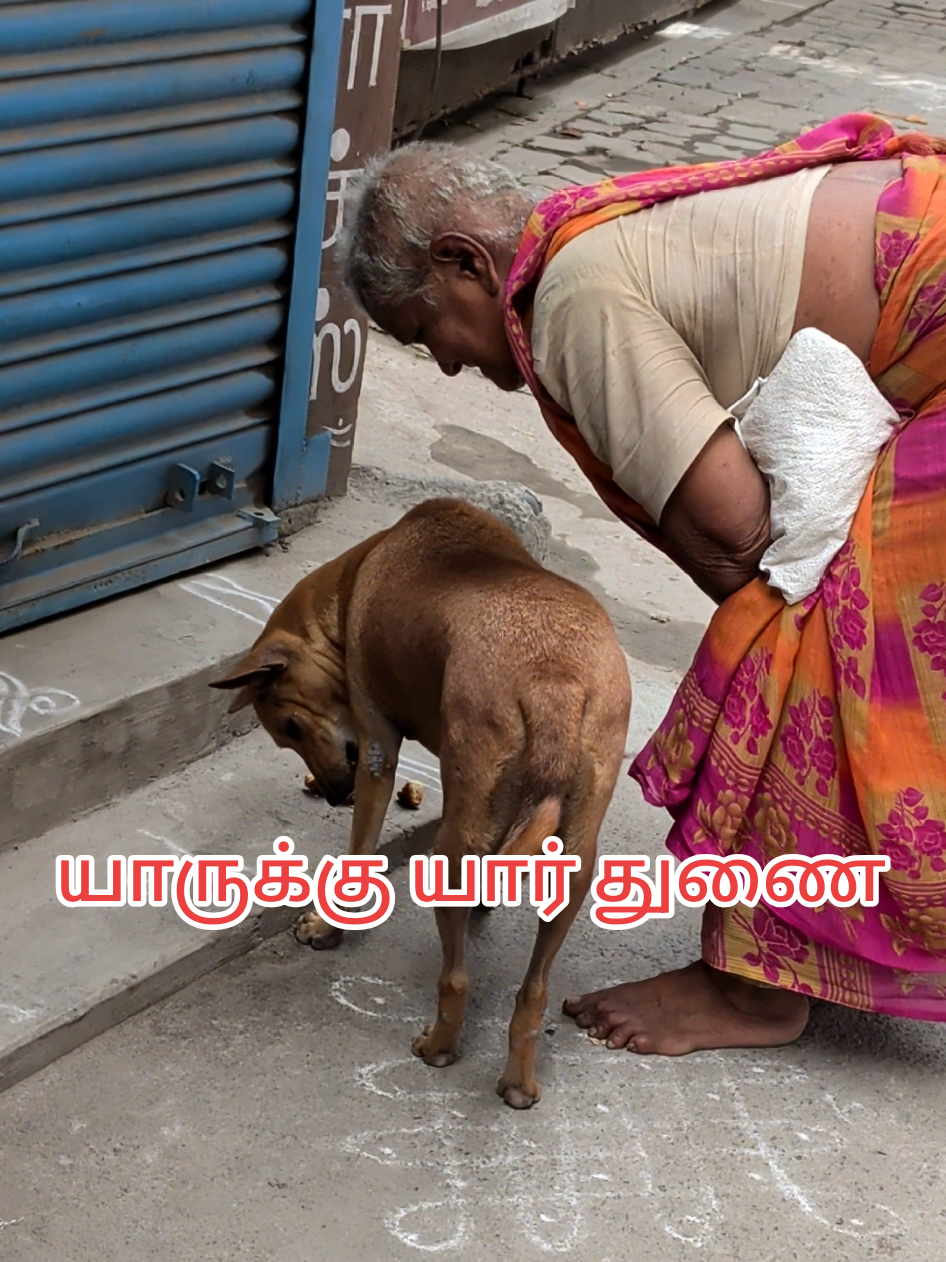 @&trade;&reg;IRUVALLUVAN&reg;&trade;