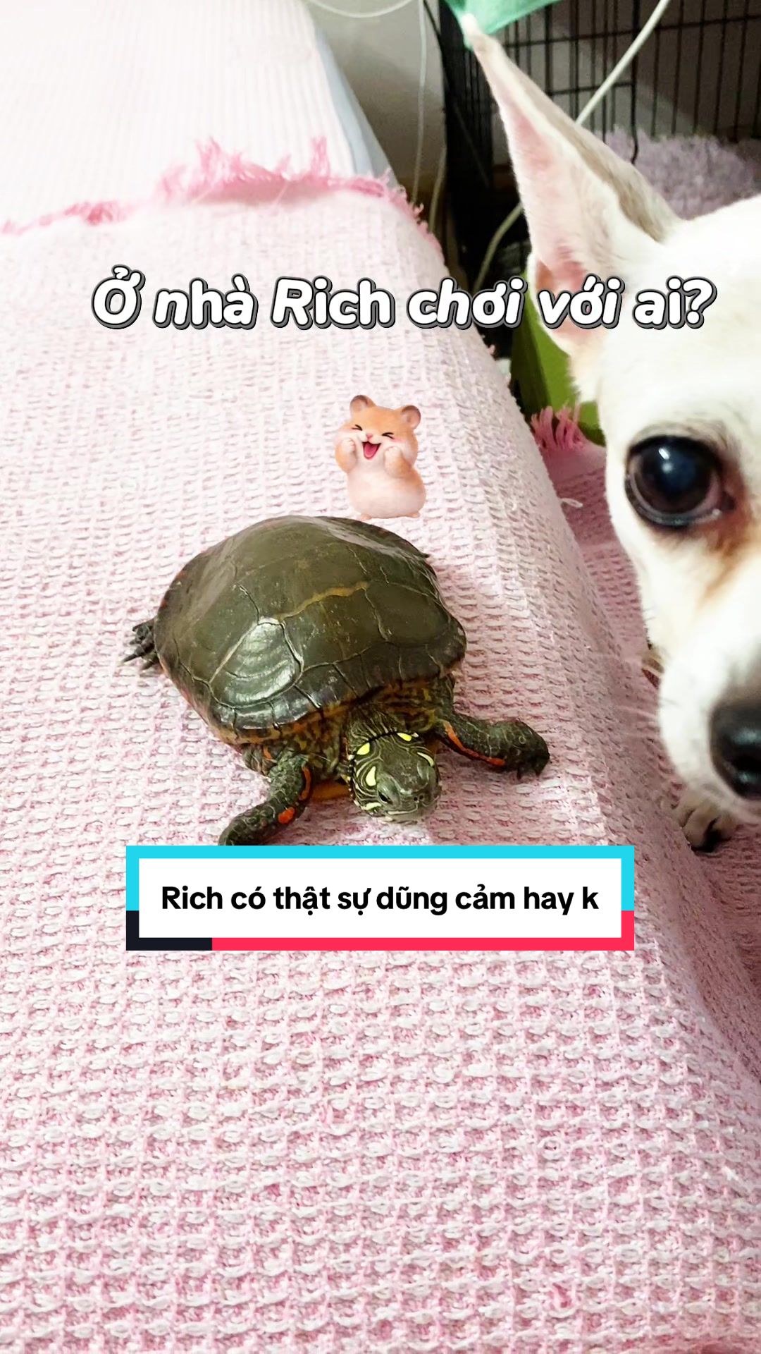@Nh&agrave; c&oacute; r&ugrave;a v&agrave; ch&oacute;