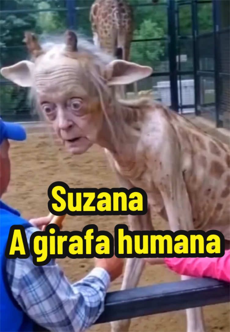 @felpzoficial