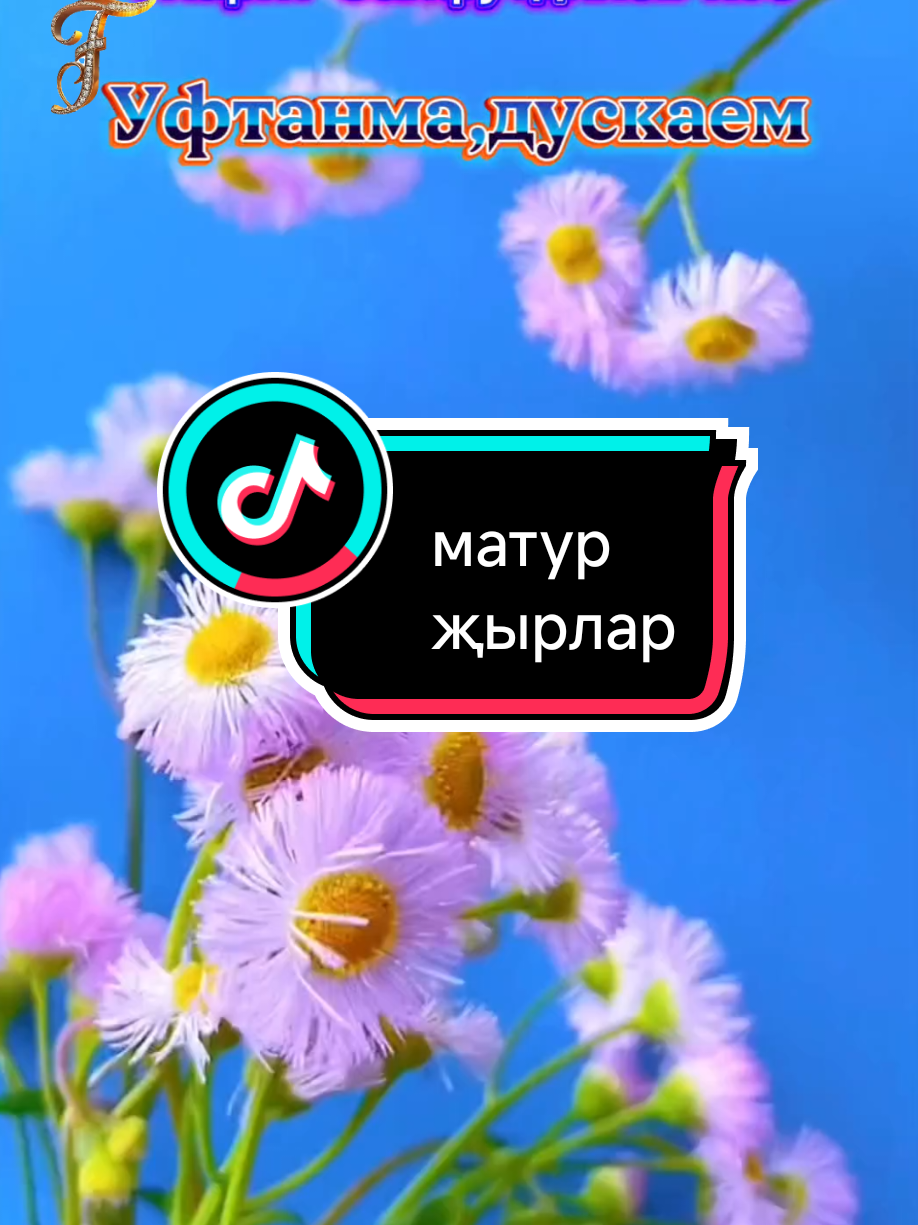 @💕☪татвидео открытки☪︎ 💕