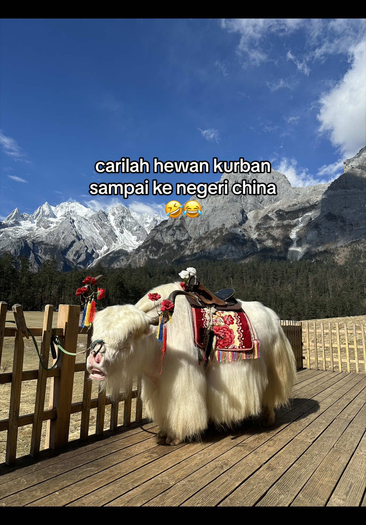 @hobi jalan kaki