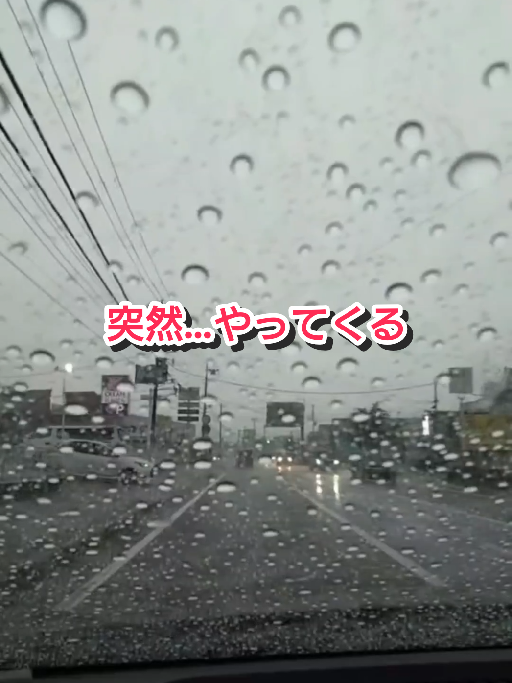 @ストイック父ちゃんトト