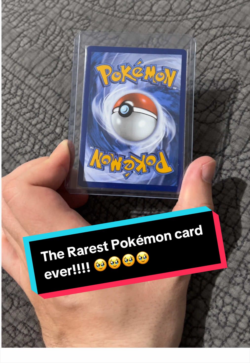 @Ash Ketchum